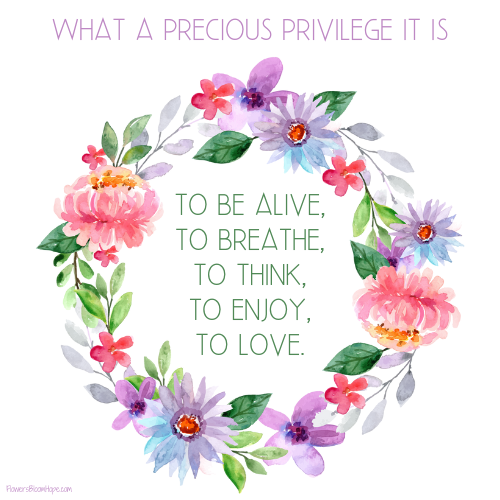 What a precious privilege it is to be alive, to breathe, to think, to enjoy, to love.