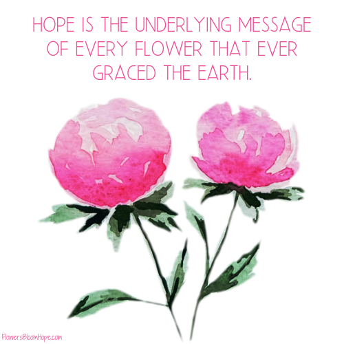 Hope is the underlying message of every flower that ever graced the earth.