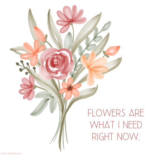 Flowers are what I need right now.