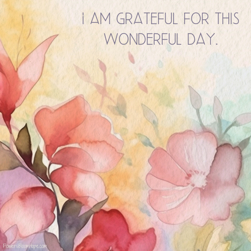 I am grateful for this wonderful day.