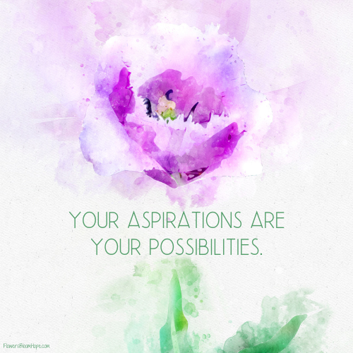 Your aspirations are your possibilities.