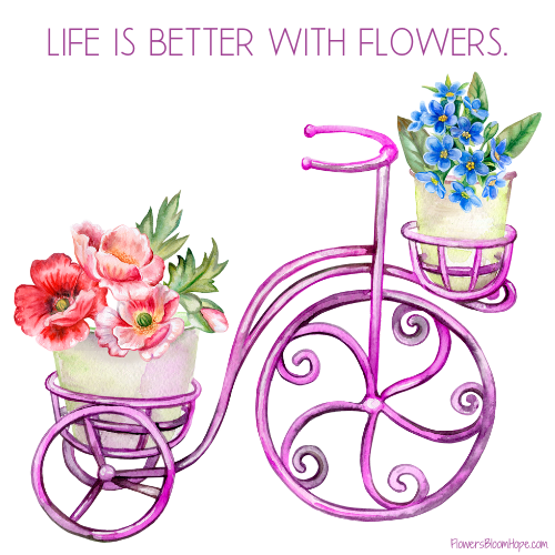 Life is better with flowers.