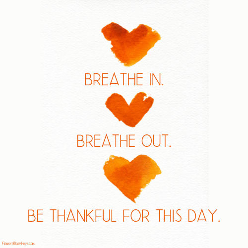 Breathe in. Breathe out. Be thankful for this day.