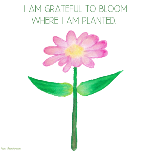 I am grateful to bloom where I am planted.
