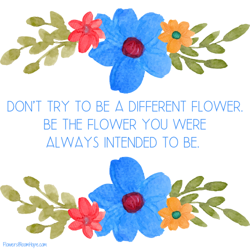 Don't try to be a different flower. Be the flower you were always intended to be.