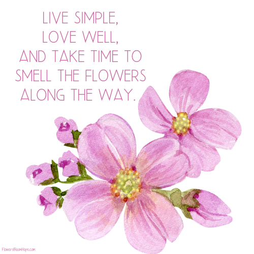 Live simple, love well, and take to time smell the flowers along the way.