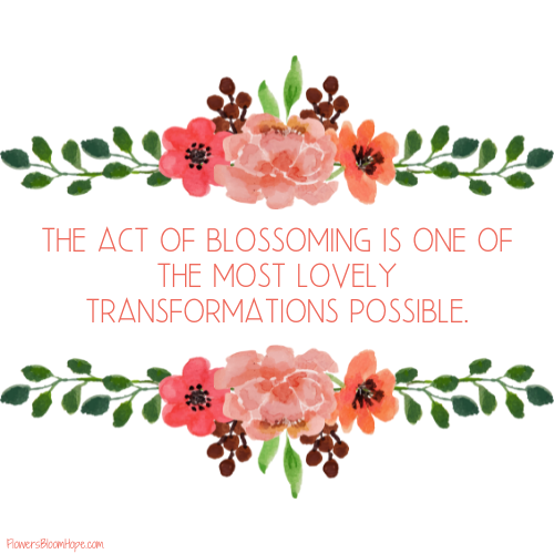 The act of blossoming is one of the most lovely transformations possible.
