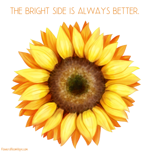 The bright side is always better.