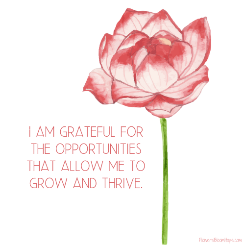 I am grateful for the opportunities that allow me to grow and thrive.