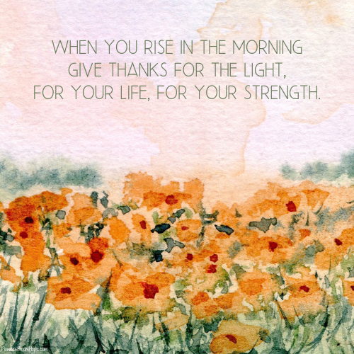 When you rise in the morning give thanks for the light, for your life, and for your strength.