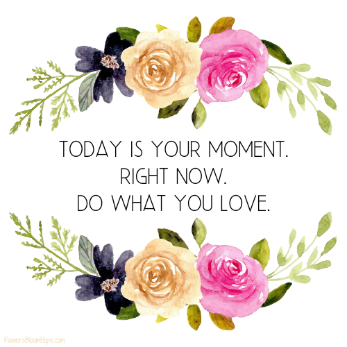 Today is your moment. Right now. Do what you love.