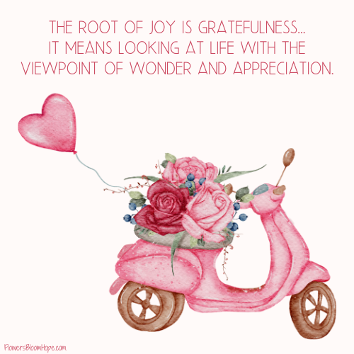 The root of joy is gratefulness...it means looking at life with the viewpoint of wonder and appreciation.