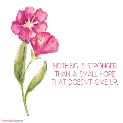 Nothing is stronger than a small hope that doesn't give up.
