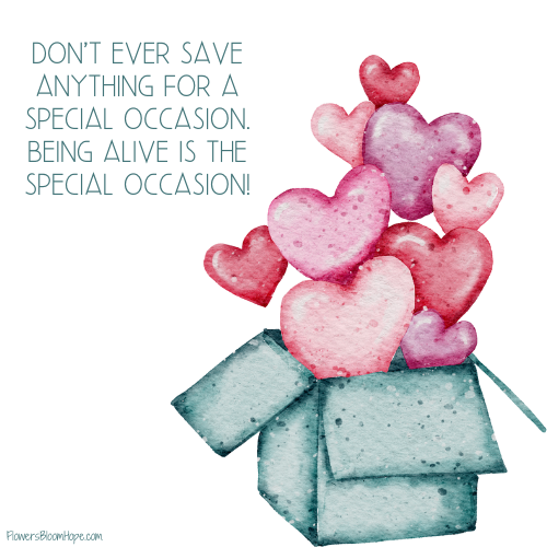 Don't ever save anything for a special occasion. Being alive is the special occasion!
