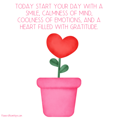 Today start your day with a smile, calmness of mind, coolness of emotions, and a heart filled with gratitude.