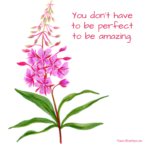 You don’t have to be perfect to be amazing.