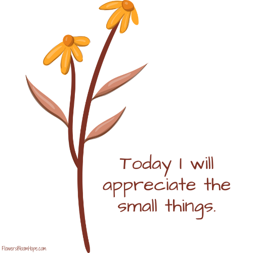 Today I will appreciate the small things.