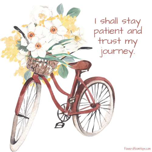 I shall stay patient and trust my journey.