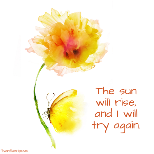 The sun will rise, and I will try again.