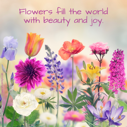 Flowers fill the world with beauty and joy.