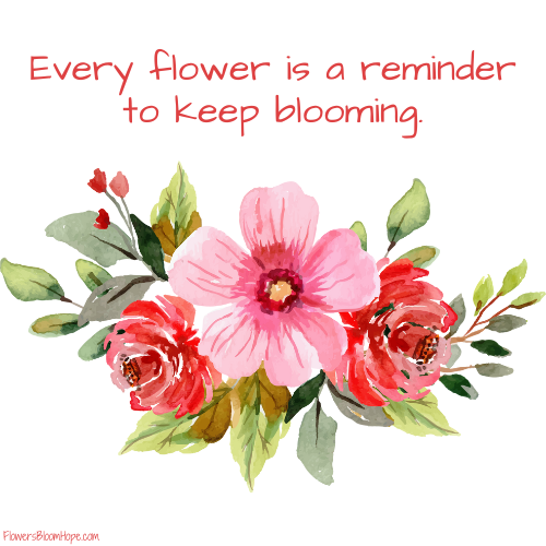 Every flower is a reminder to keep blooming.