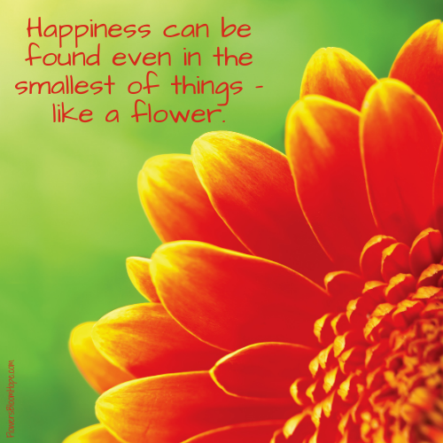 Happiness can be found even in the smallest of things – like a flower.