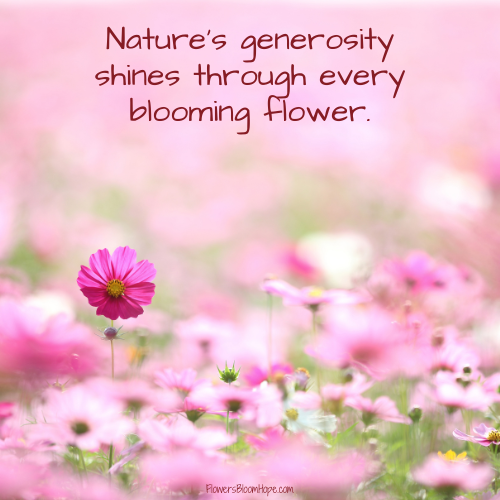 Nature’s generosity shines through every blooming flower.