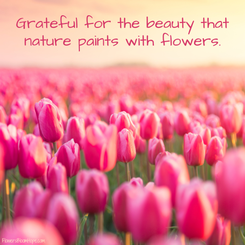 Grateful for the beauty that nature paints with flowers.