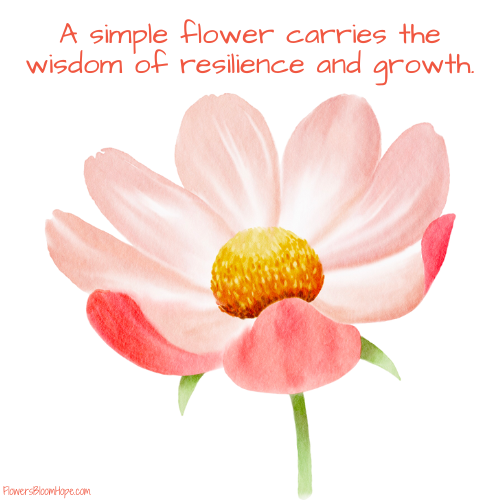 A simple flower carries the wisdom of resilience and growth.