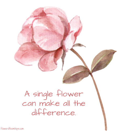 A single flower can make all the difference.