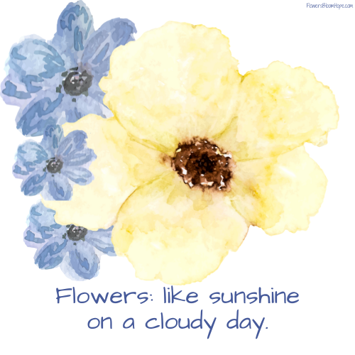 Flowers: like sunshine on a cloudy day.