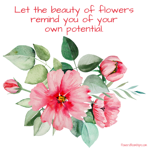 Let the beauty of flowers remind you of your own potential.