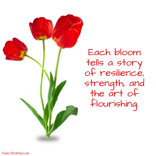 Each bloom tells a story of resilience, strength, and the art of flourishing.