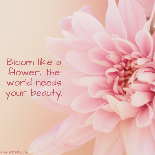 Bloom like a flower, the world needs your beauty.