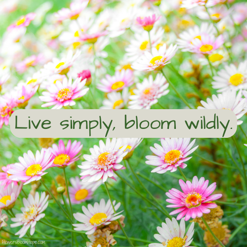 Live simply, bloom wildly.