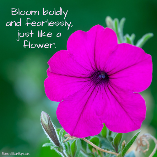 Bloom boldly and fearlessly, just like a flower.