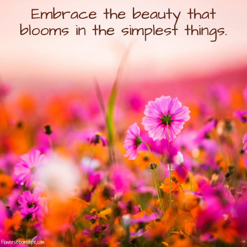 Embrace the beauty that blooms in the simplest things.