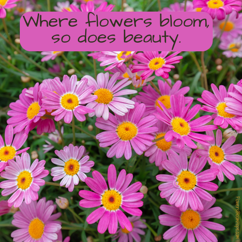 Where flowers bloom, so does beauty.