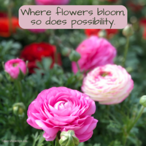 Flower Quotes - Flowers Bloom Hope