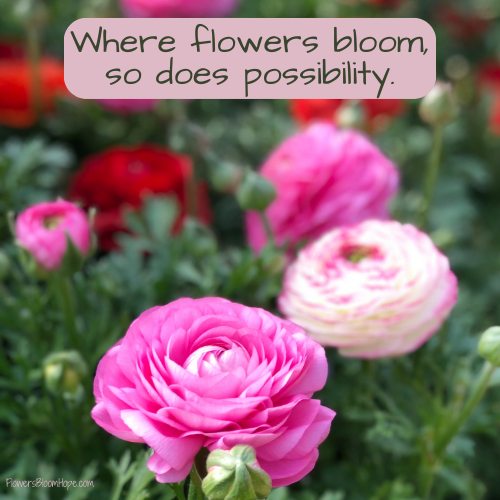 Where flowers bloom, so does possibility.