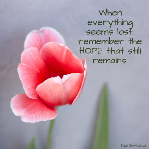 When everything seems lost, remember the HOPE that still remains.