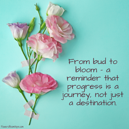 From bud to bloom, a reminder that progress is a journey, not just a destination.