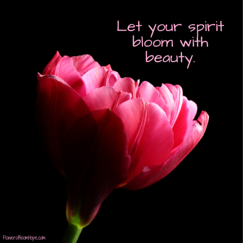 Let your spirit bloom with beauty.