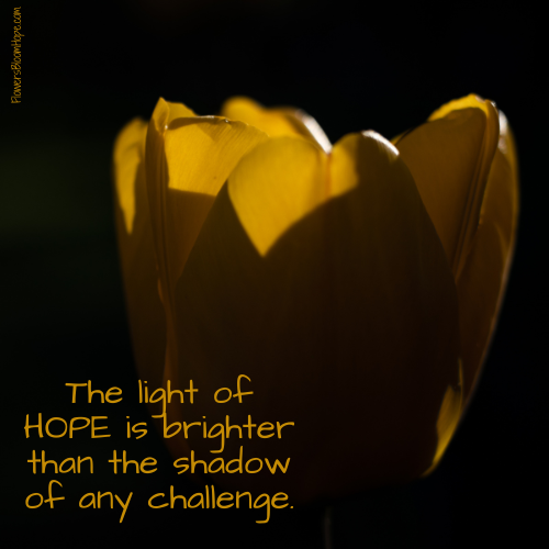 The light of HOPE is brighter than the shadow of any challenge.