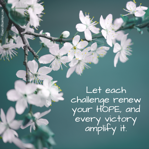 Let each challenge renew your HOPE, and every victory amplify it.