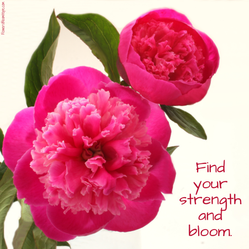 Find your strength and bloom.