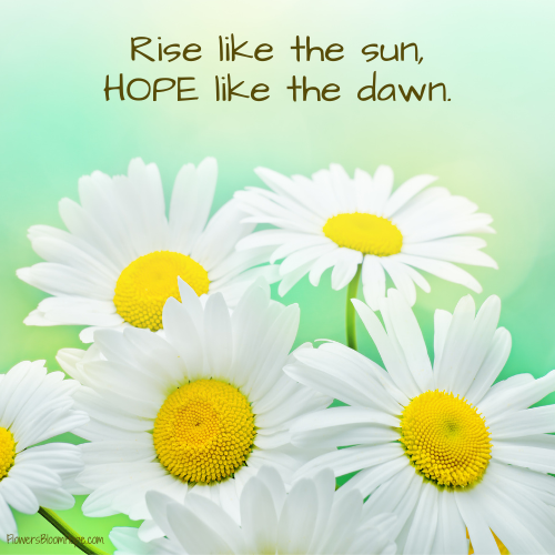 Rise like the sun, HOPE like the dawn.