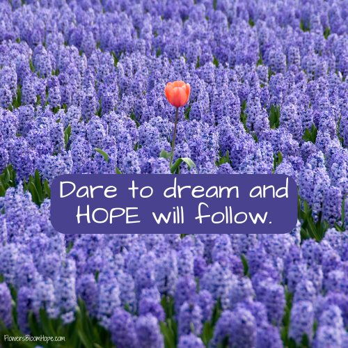 Dare to dream, and HOPE will follow.