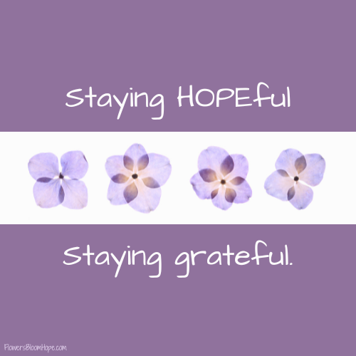 Staying HOPEful, staying grateful.