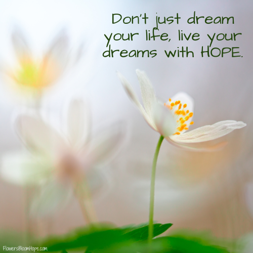 Don’t just dream your life, live your dreams with HOPE.